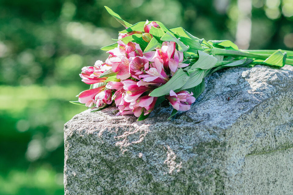 Close up of pink flowers laying on top of a gravestone at a cemetary
